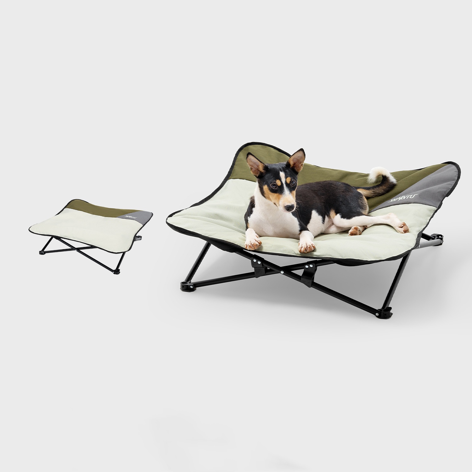 طوي سرير الحيوانات الأليفة الم - مراجعة Outdoor Camping Dog Bed وسعره