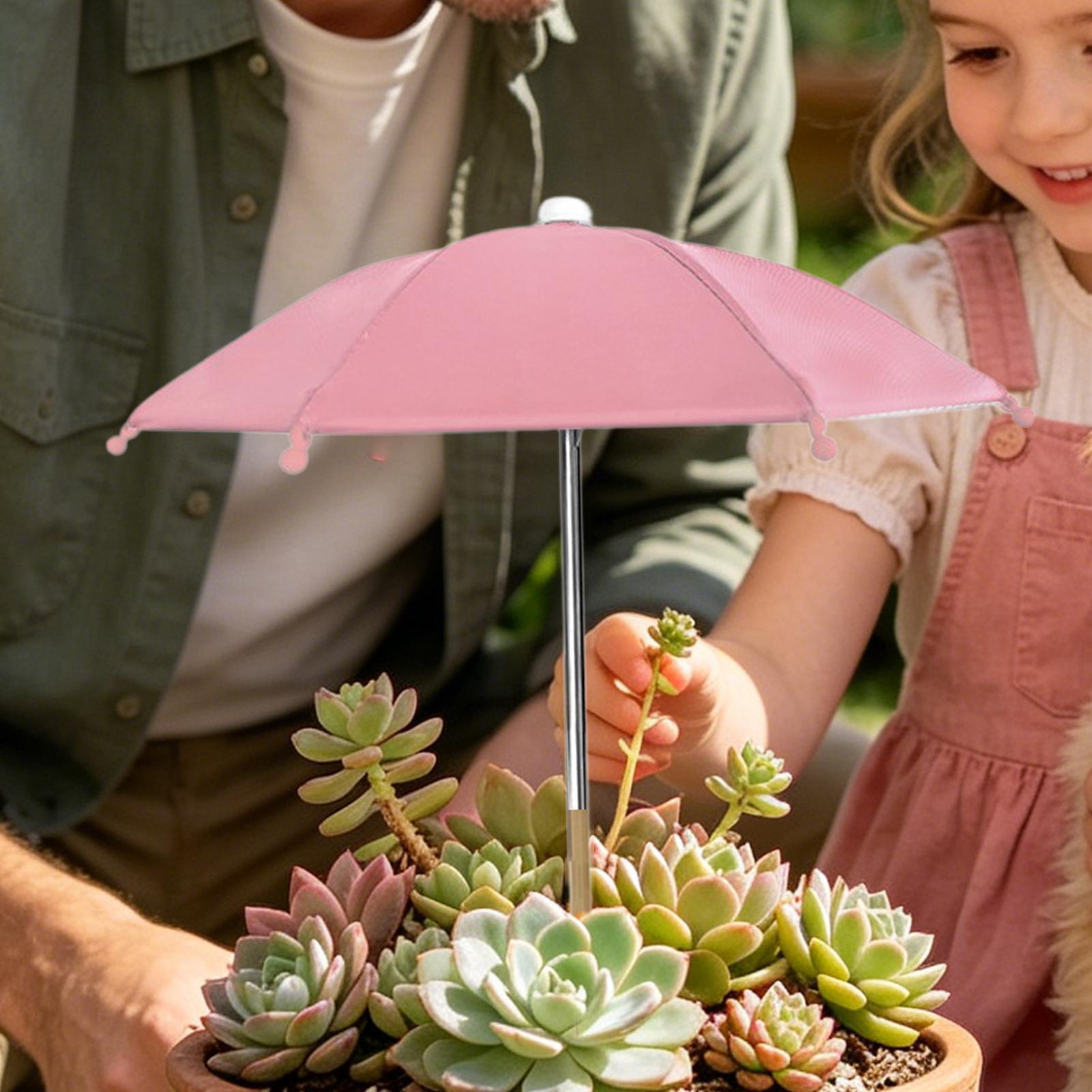 مظلات نباتية للحماية من الأشعة - مراجعة Outdoor Camping Umbrella وسعره