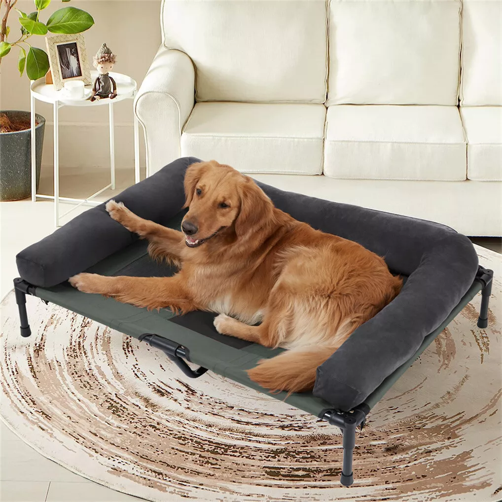 سرير كلاب خارجي مرتفع من BINGO - مراجعة Outdoor Camping Dog Bed وسعره