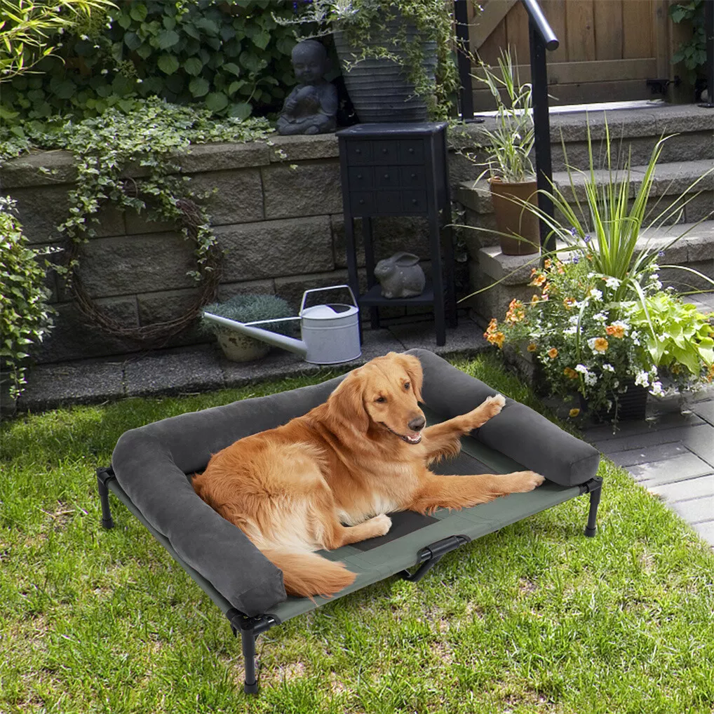 سرير كلاب خارجي مرتفع من BINGO - مراجعة Outdoor Camping Dog Bed وسعره