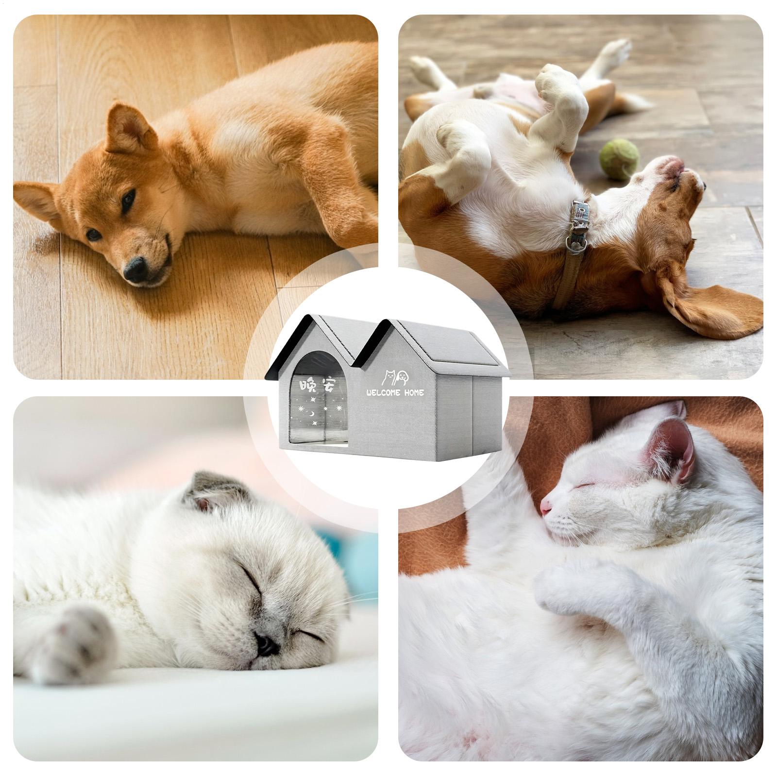 بيت كلب مبرد معزول قابل للإزال - مراجعة Outdoor Camping Dog Bed وسعره